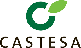 Castesa